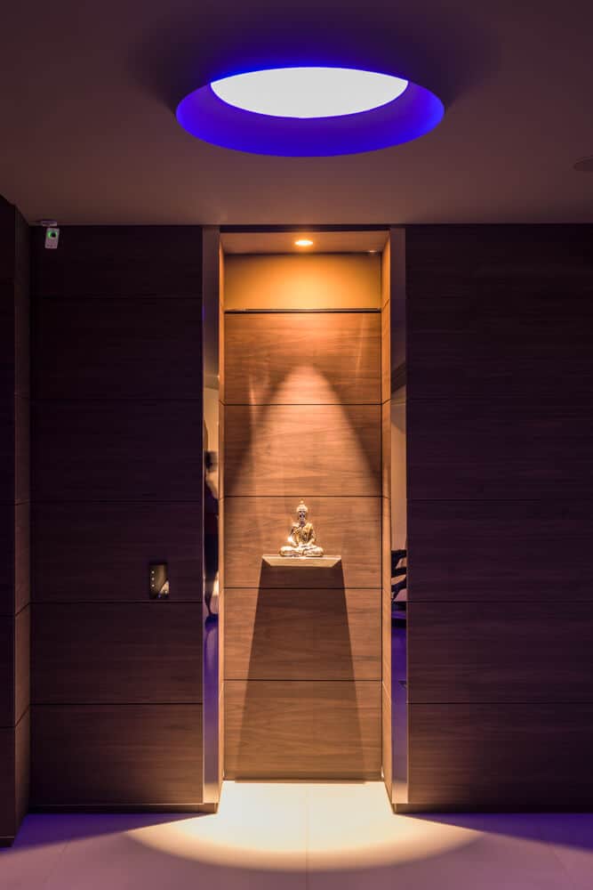 buddha-spotlight-custom-garage-doors.jpg