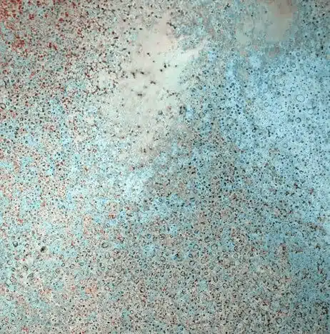 Co12
